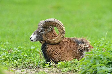 《战地6》压力给到了！传《使命召唤：黑色行动7》标准版定价不会80美元